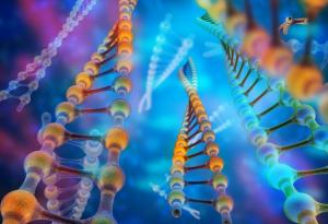 Нови биологически маркери помагат да се обясни развитието на аутизма