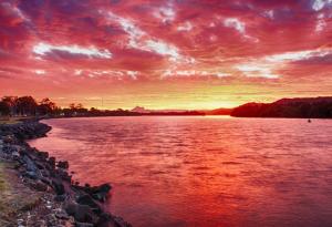 Най-старите животински следи на Земята