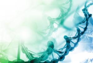 75% от човешката ДНК май наистина е безполезна