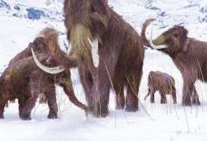 Последните мамути са загинали от жажда