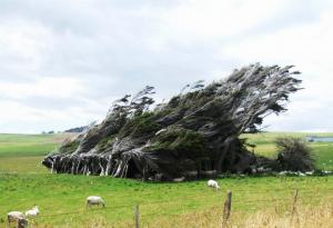 15 юни - Световен ден на вятъра