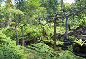 Растение от ерата на динозаврите процъфтява в САЩ