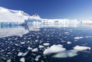 Антарктида се топи 6 пъти по-бързо, отколкото през 1979 г.