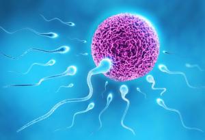 Конкурентноспособният сперматозоид се изявява при съперничество