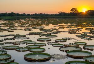9 малко известни природни чудеса на света