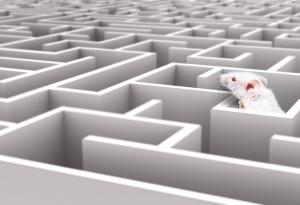 Eто какво причинява дългосрочният стрес на краткосрочната памет