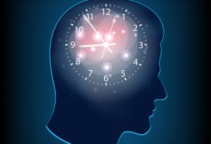 Мозъчни клетки, които се смятаха за филтри, са ключа към нашите вътрешни часовници