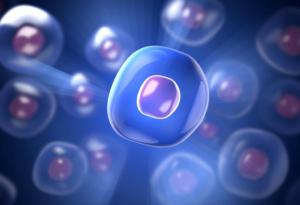 1 юли 1858 г. - Ражда се съвременната биология