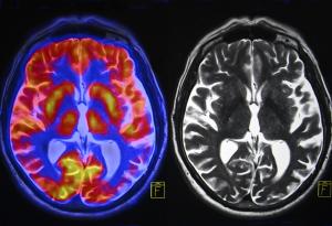 Популярни научни митове, в които много хора вярват