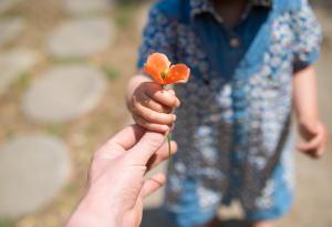 12 трогателни истории, които не могат да бъдат игнорирани