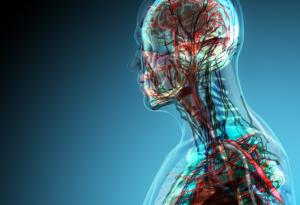 9 от най-разпространените митове за човешкото тяло