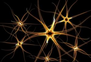 Броят на клетките в мозъка на детето зависи от начина на раждане