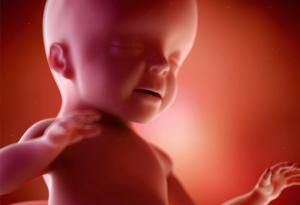 Още в утробата на мама бебето прави гримаси