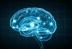 Седем разлики между мозъка на мъжете и жените