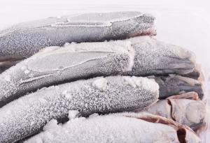 Видео: Жива риба се съживява след като е замразена при -36 градуса Целзий