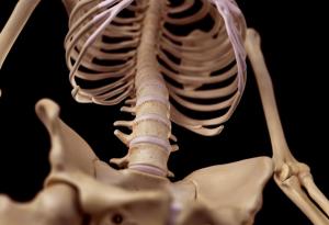 Перспективи пред лечението на гръбначния стълб