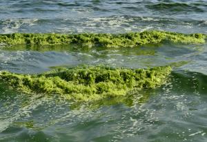 Как изчезва четвъртото по големина езеро в света?