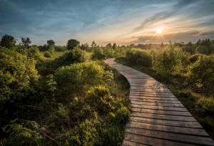 7 въпроса, които трябва да си зададем в края на седмицата