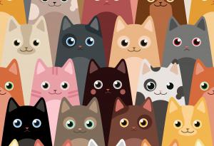 Двойка сключи брак в присъствието на над 1000 котки