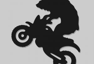 Видео: Мечка на мотоциклет с кош