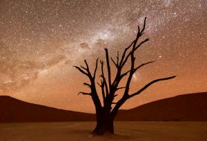 Този таймлайпс на нощното небе ще ви остави без дъх