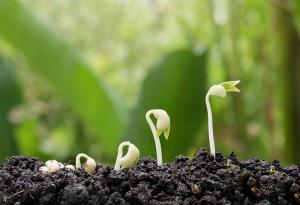 Бъдещите събития изглеждат по-близки от миналите