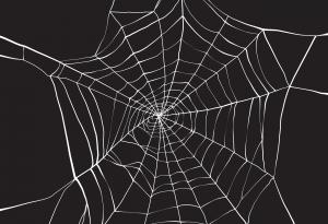 Коприна на паяци, поени с графен, е най-здравия материал на света