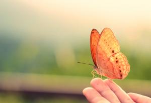Не получих нищо от това, за което молих. Но получих всичко, което ми е нужно