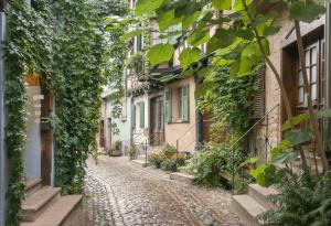 В магазина на истината