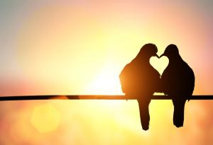 Петте езика на любовта