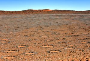 Мистерията на вълшебните кръгове в Намибия
