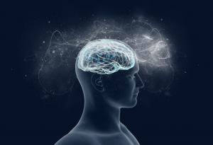 Мозъкът ни избира в какво да вярва