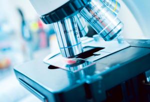 Виц: Полезен наръчник за съвременна наука