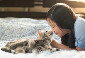 Котките се привързват към хората емоционално така, както кучетата и децата