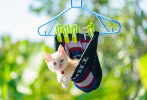 Една фотогалерия, която ще ви накара да се усмихнете