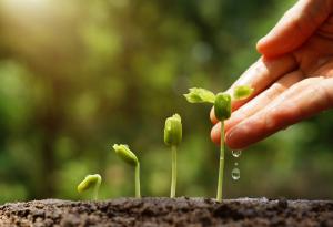 Робърт Луис Стивънсън за вземането и даването