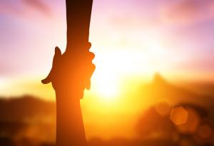 Подбираме партньорите си по миризмата