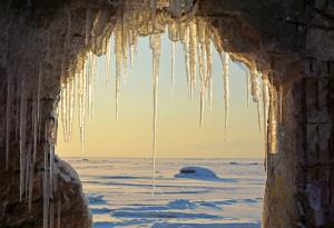 Палеонтолозите разбраха кога са се появили първите животни на Земята