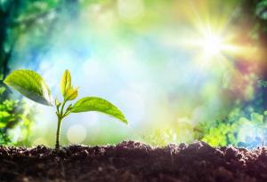 Прости съвети как да заобичаме живота повече