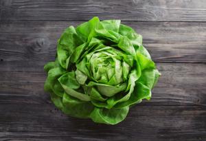 Виц: Две висши