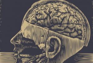 Здравните безумия в историята