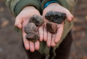 Какво представлява хранителното разстройство, наречено пика