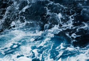 СО2 в океаните ще ги направи по-шумни 