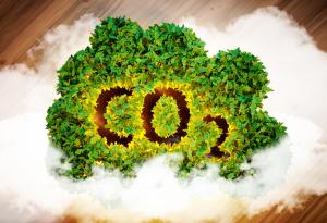 Аз пращам в атмосферата 30 кг СО2 на ден. А ти? 