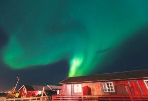 Ето как изглеждат 10-те най-щастливи страни в света