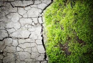 Какво представлява животът? Смъртта истинска ли е?