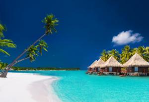 Виц: Буквичката на мечтите