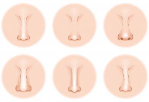 Климатът е отговорен за формата на вашия нос