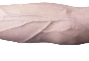 Защо вените ни изглеждат сини, ако кръвта ни е червена?