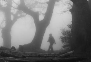 Триъгълникът Бенингтън - едно наистина мистериозно място